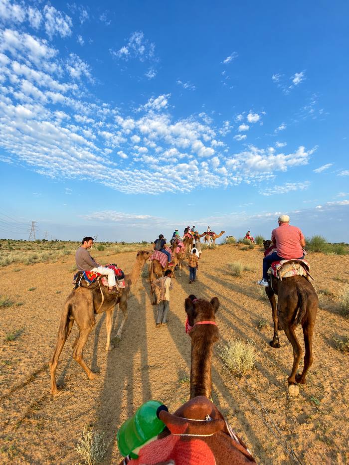 Umaid Safaris photo