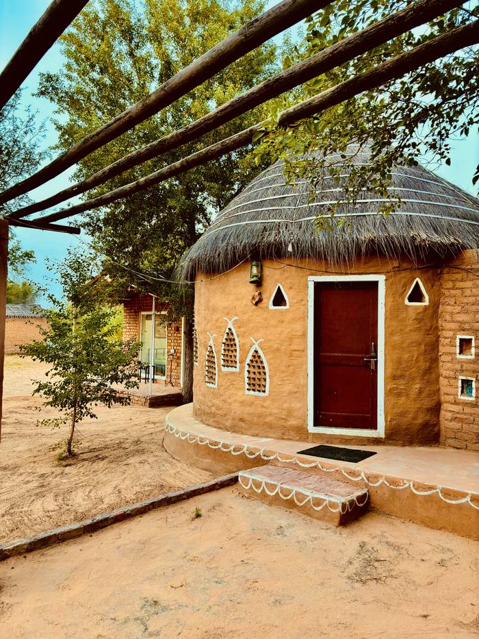 Umaid Safaris photo